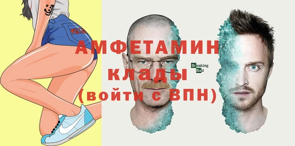 шишки Саяногорск